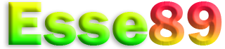 ESSE89
